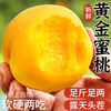 春福乐 山东蒙阴黄桃 4.5斤-5斤净重
