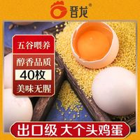 百亿补贴：晋龙食品 出口级新鲜鸡蛋 40枚 白壳粉壳 无抗生素无激素