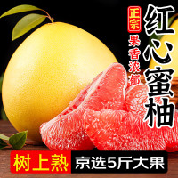 平和琯溪蜜柚 福建红心柚子 5斤装(净果4.5斤)