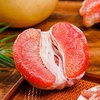 平和琯溪蜜柚 红心柚子 新鲜水果