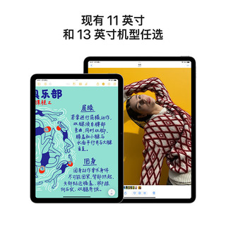苹果 Apple iPad Air 11 英寸  M3芯片 25年平板电脑512GB eSIM版/MCGQ4CH/A 紫色*企业专享