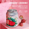  Zebra Craft/斑马精酿 音乐节 果啤原浆精酿