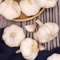 宝菜大蒜紫皮蒜头25年山东金乡地标产品带皮干蒜产地源头直发包邮 精品大果-净重装 单果5.5cm
