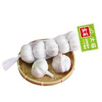 宝菜大蒜紫皮蒜头25年山东金乡地标产品带皮干蒜产地源头直发 1条装（5头/条 单果约5.0cm）