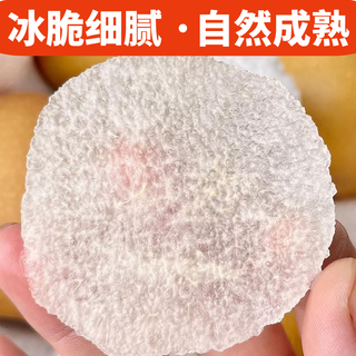 尹福记 秋月梨 脆甜薄皮 4.5-5斤 生鲜水果