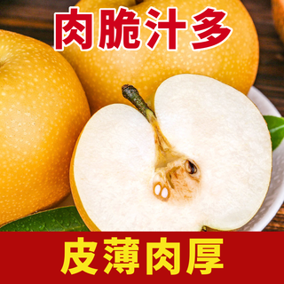 尹福记 秋月梨 脆甜薄皮 4.5-5斤 生鲜水果