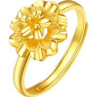 ZHOU LIU FU 周六福 足金999黄金戒指 2.8g