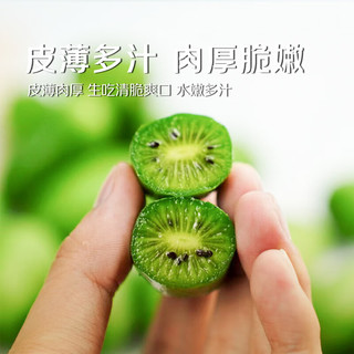 京觅丹东软枣猕猴桃/奇异莓 净重2斤 单果10g以上  新鲜水果 源头直发