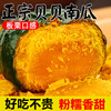 粤迎 山东贝贝南瓜板栗味 净4.5- 5斤