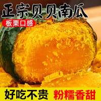 粤迎山东贝贝南瓜板栗味小南瓜香甜软糯宝宝辅食美味早餐好吃粗粮南瓜 净4.5- 5斤 精选果【单果150g+】