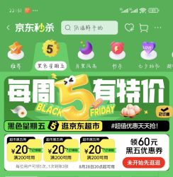黑色星期五 200-20优惠券