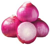 京鲜生 河南紫红皮洋葱净重5斤单果300g+ 现挖新鲜蔬菜 源头直发
