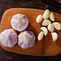 京鲜生 河南开封大蒜带皮新鲜干蒜净重5斤单果5.5cm起 源头直发 5斤