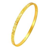 谢瑞麟黄金手镯女足金碎冰冰手镯金镯子计价 足金碎冰冰手镯60圈口约5.52克