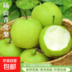 京喜加 新梨青皮梨新鲜采摘酥脆一号翠冠梨 2斤