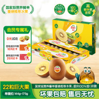 佳沛 阳光金果 奇异果 巨大果 单果146-174g 22个