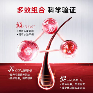  CABELO/卡蓓诺 日本 育发防脱洗发水  50ml