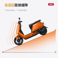 小牛电动 NS citi 电动摩托车 铅酸电池 智能超长续航