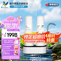 Doulton 道尔顿 英国道尔顿净水器D-CP203台上式家用厨房直饮自来水过滤机