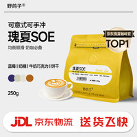 野鸽子 瑰夏SOE咖啡豆中度烘焙 250g