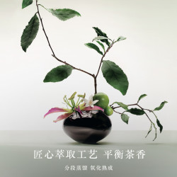 EMPORIO ARMANI 清新 中性香水  50ml