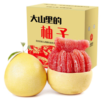 食九月 土八鲜 福建琯溪蜜柚  红肉柚 4.5-5斤（2-3枚装）净重4.5斤以上