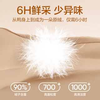 网易严选2590鸭绒超蓬羽绒服休闲面包服石墨烯保暖轻量抗菌防泼水 25秋冬立领-静谧黑 XL