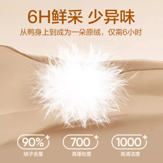 网易严选2590鸭绒超蓬羽绒服休闲面包服石墨烯保暖轻量抗菌防泼水 25秋冬立领-静谧黑 XL