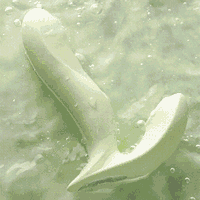 司沃康 嘉比里拉 外出穿戴式 跳蛋（可加热、吮吸+震动）