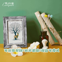 早行客 Earlymen 莫兰迪双面背景纸/布 海洋柠檬 ins风网红摆拍装饰美