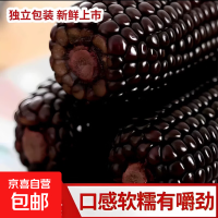 京喜加 头茬新黑糯玉米新鲜现摘真空包装 黑玉米4支180-200克