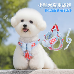 宠小曼 狗狗猫咪牵引绳胸背带花花蝴蝶结套装透气遛狗绳比熊泰迪S码 S码（胸围38-44cm 3-6斤））