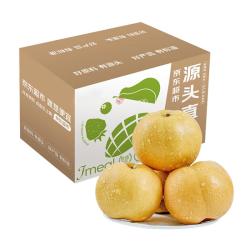 京地达 山东秋月梨净重4.8斤单果350g+新鲜水果脆甜梨子大果源头直发 净重4.8斤单果350g+