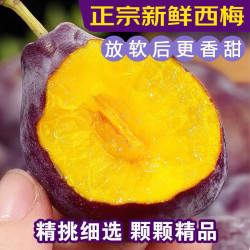 庾丰 新鲜当季现摘西梅 新鲜水果整箱 蓝蜜法兰西梅  5斤装（净果4.5斤）果王 源头直采 颗颗甄选