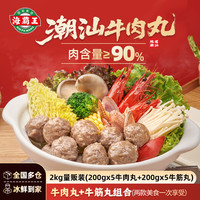 海霸王 潮汕牛肉丸+牛筋丸组合200g*10袋4斤肉含量90%火锅食材