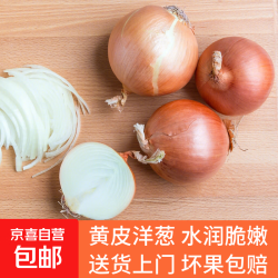 京喜 新鲜黄洋葱便宜大个葱头超市生鲜批发沙拉生甜直播间 黄洋葱 1斤
