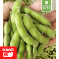 京喜加 现摘新鲜带壳毛豆  1斤净重