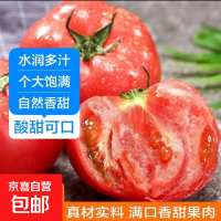 京喜加 新鲜国产沙瓤大番茄 100g*3斤