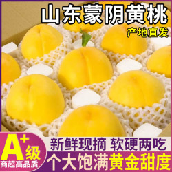 三萌果蔬 蒙阴黄桃 山东当季新鲜黄毛桃现摘桃子水果 精选5斤装净重4.5斤