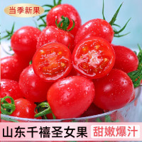 京喜加 新鲜圣女果水果小番茄 新鲜圣女果 2斤 净重