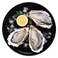 海蕴极鲜【活鲜】鲜活生蚝 新鲜海蛎子牡蛎烧烤食材 2kg/15-20只(100-150g/只)