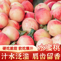 江博尔 现货脆甜水蜜桃新鲜水果现摘现发毛桃蜜桃大桃子整箱包邮时令水果