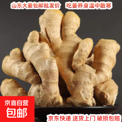 京喜 山东新鲜大姜超市生鲜蔬菜老姜即食水果生姜水洗净姜 山东大姜250g