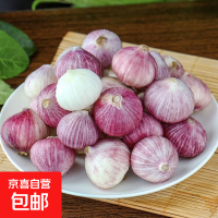 京喜 云南紫皮独头蒜 40g 14个 单果2cm左右