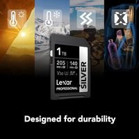 LEXAR 雷克沙 1TB SDXC 存储卡 UHSI C10 U3 V30 4K 205/140 MB/s