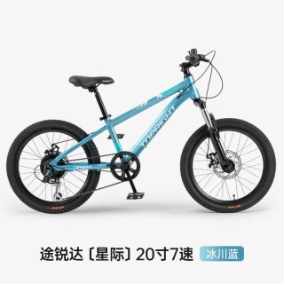 途锐达 星际 20寸铝合金变速 蓝色银色黑色