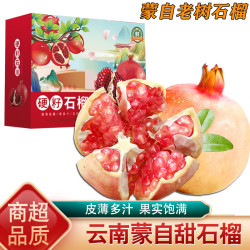 桃西村 云南蒙自甜石榴  3斤 中果【单果约4两】