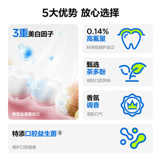 参半 SE-1 清新健白牙膏 海风薄荷味 180g
