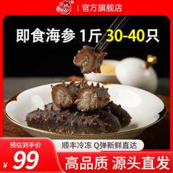 灯火岛 大连即食海参 鲜食海参独立包装 净含量500g冷冻辽刺参海鲜水产 即食海参1斤 （30-40只）