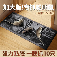 胶水老鼠粘强力粘鼠板胶粘大老鼠贴超强家用一窝端黏鼠板